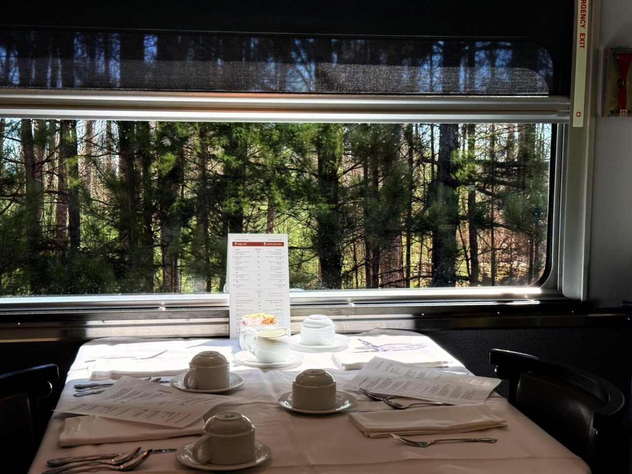 Train dining table with forest view through window.