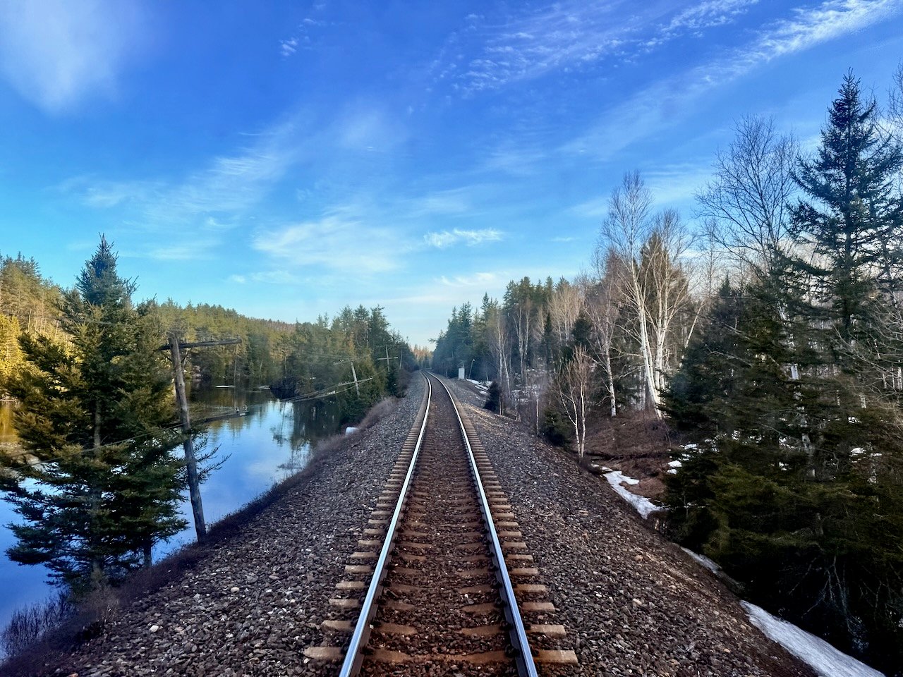 Railroad tracks through a scenic forest landscape with a clear blue sky.