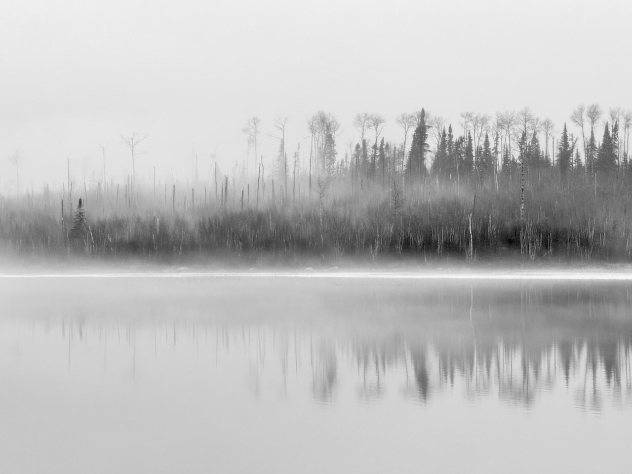 Misty forest reflection on calm lake in black and white.