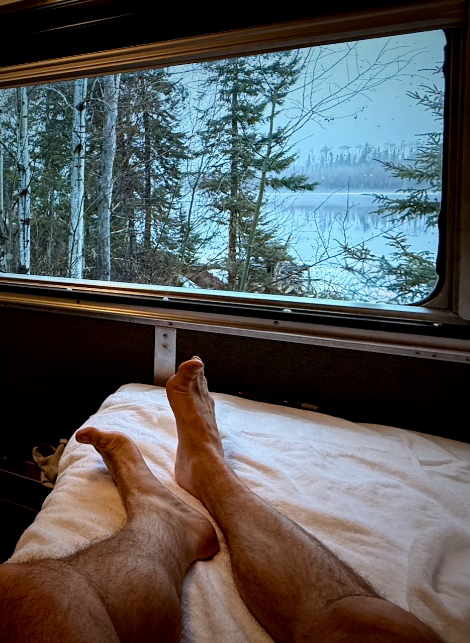 Relaxing train journey with scenic forest view through the window.