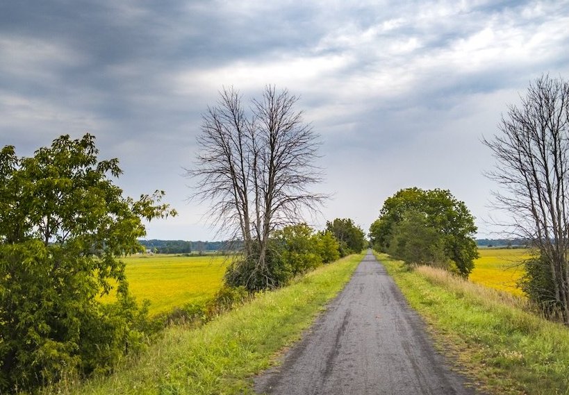 A long road cutting through yellow fields under a cloudy sky.