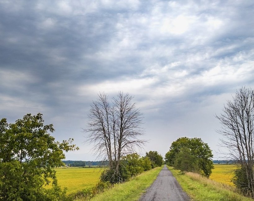 A long road leading into an open field under an overcast sky.