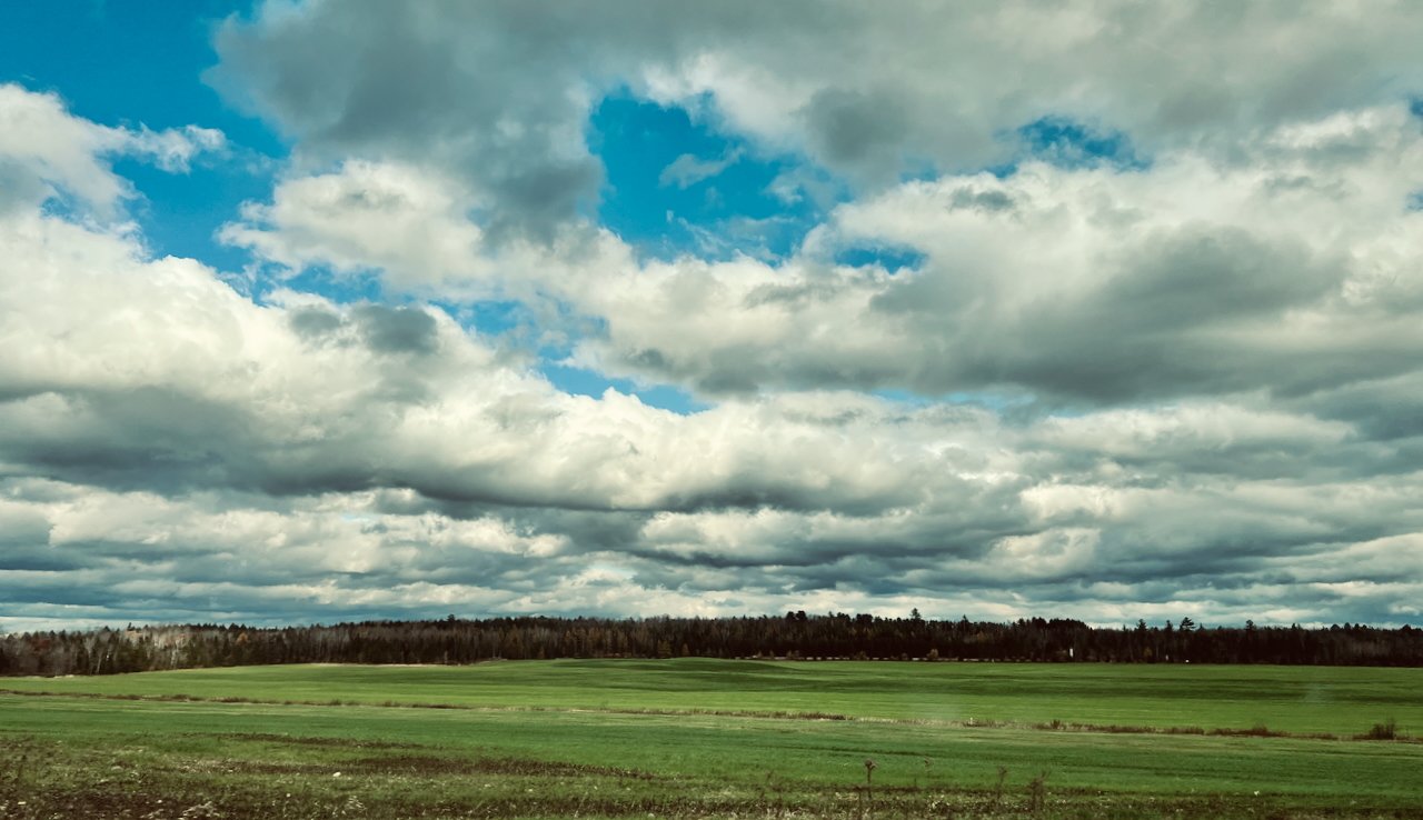 Expansive green field under cloudy blue sky.