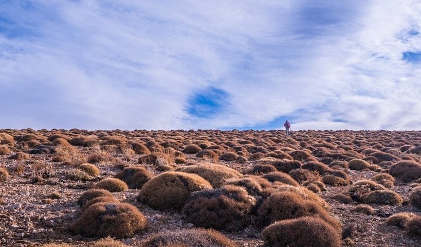 A lone hiker walking through a desert landscape with scattered shrubs under a vast blue sky.
