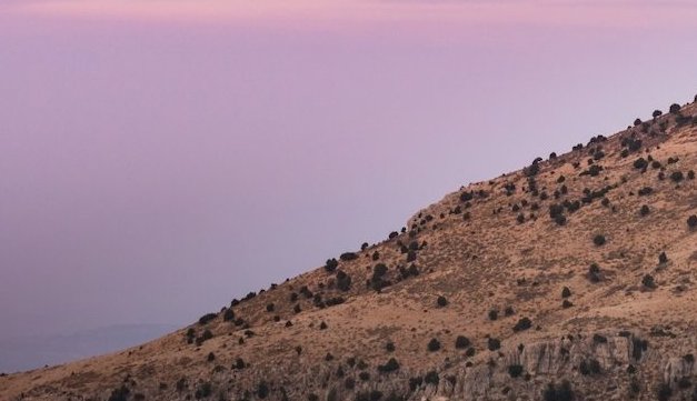 A sloping mountain landscape under a pastel-colored sky, dotted with small trees.