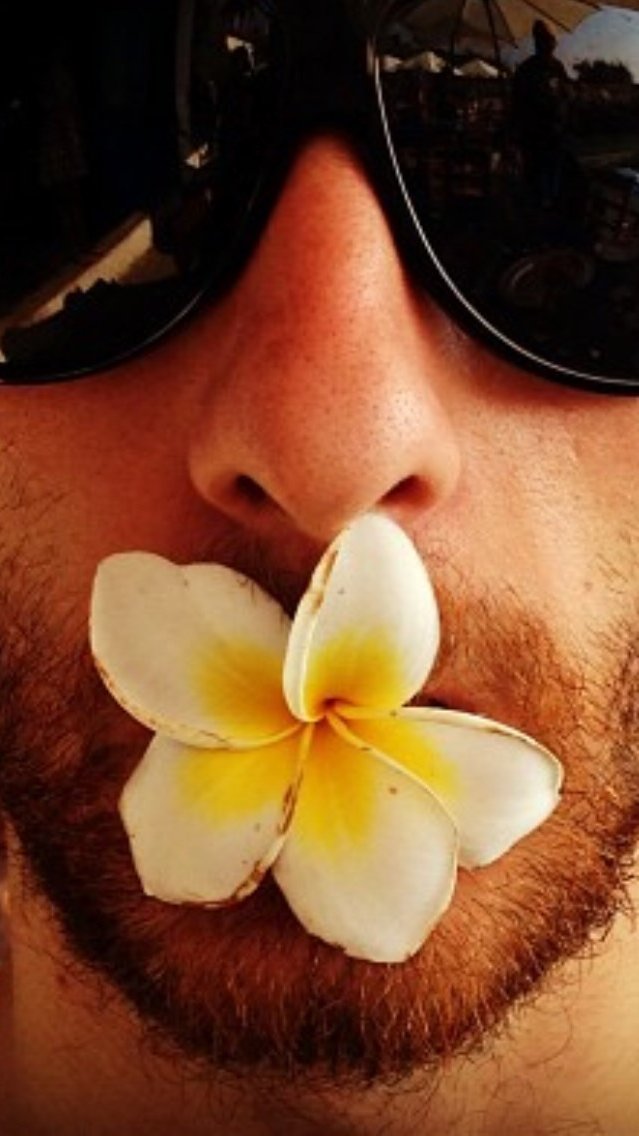 Person with sunglasses holding a frangipani flower in their mouth.