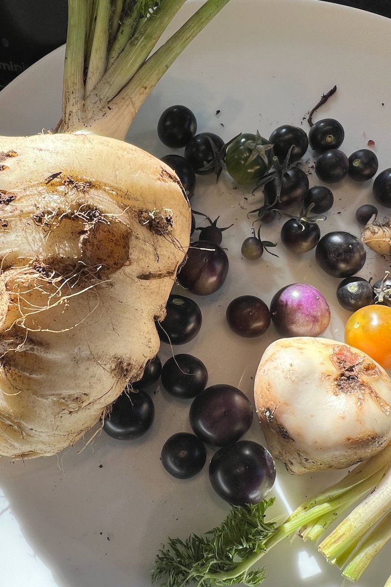 Freshly harvested purple tomatoes, beets, and root vegetables on a plate