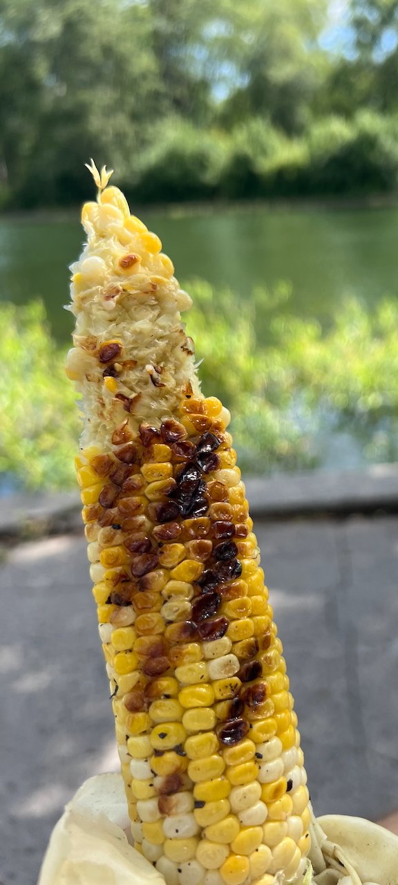 Grilled corn on the cob with char marks held near a lake view