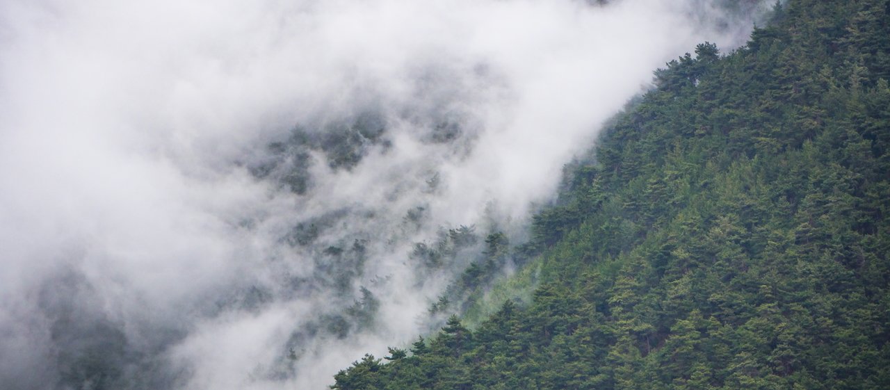 Clouds rolling over lush green forested mountainside