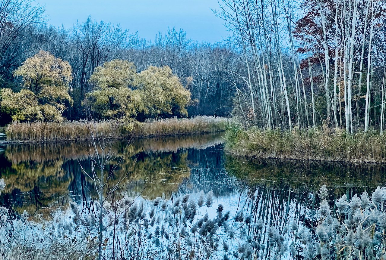River bend framed by autumn reeds and bare trees reflecting in water