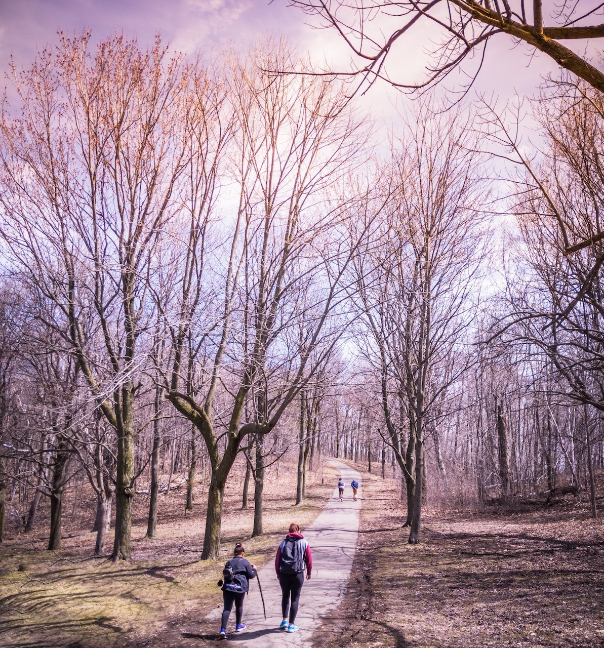 Early spring trail with hikers walking under leafless tree canopy