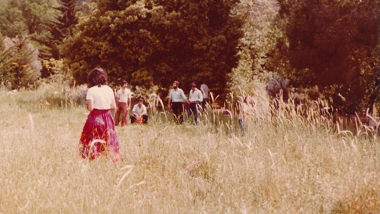 People walking in a lush, grassy field surrounded by trees.