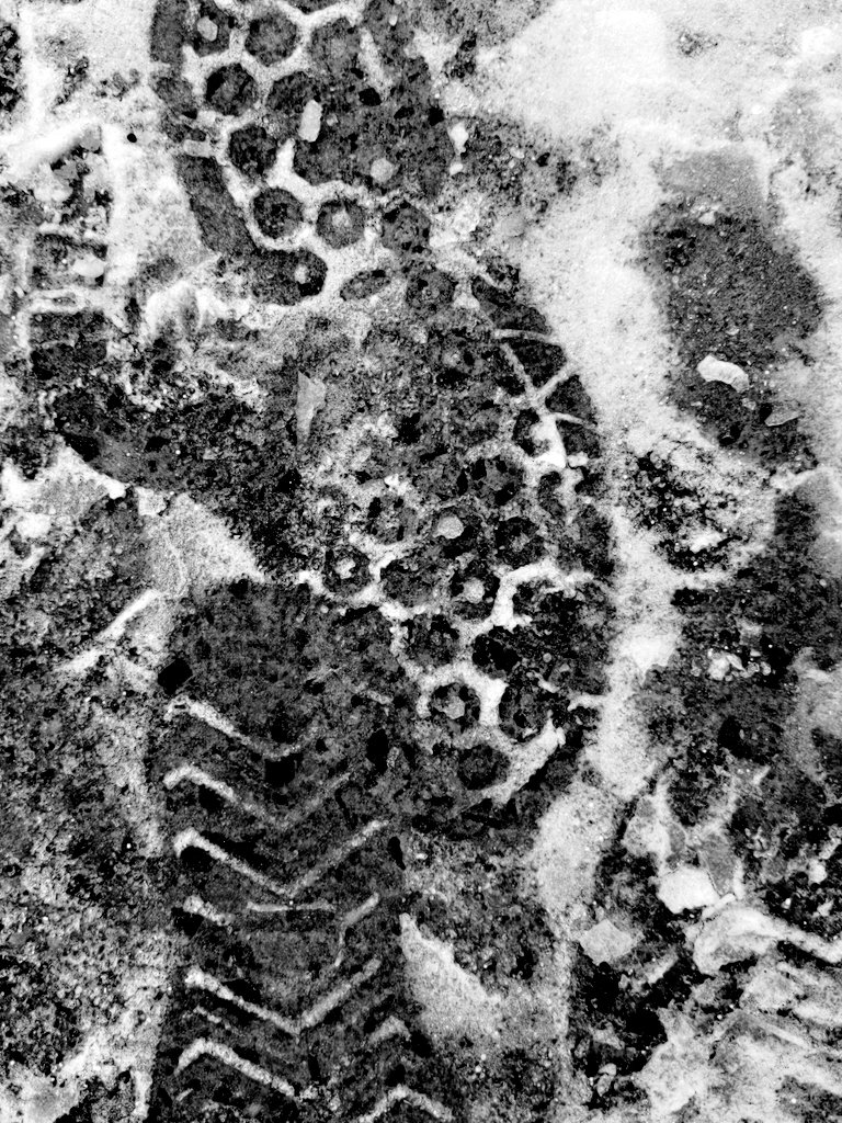 Detailed boot and shoe prints in snow showing different tread patterns