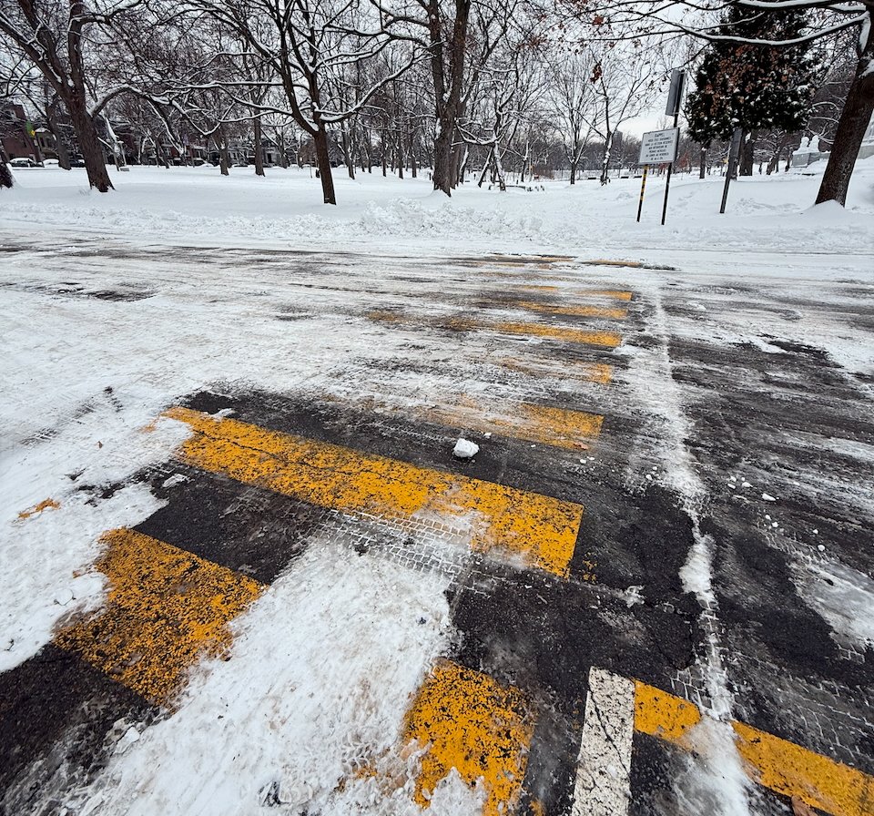 Snow-covered crosswalk in a park with bare winter trees