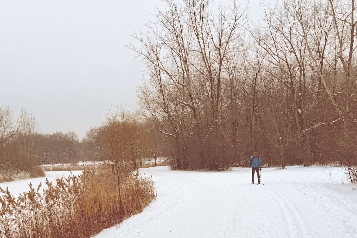 Cross-country skier on snowy forest trail with tall bare trees
